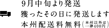 本州配送料無料